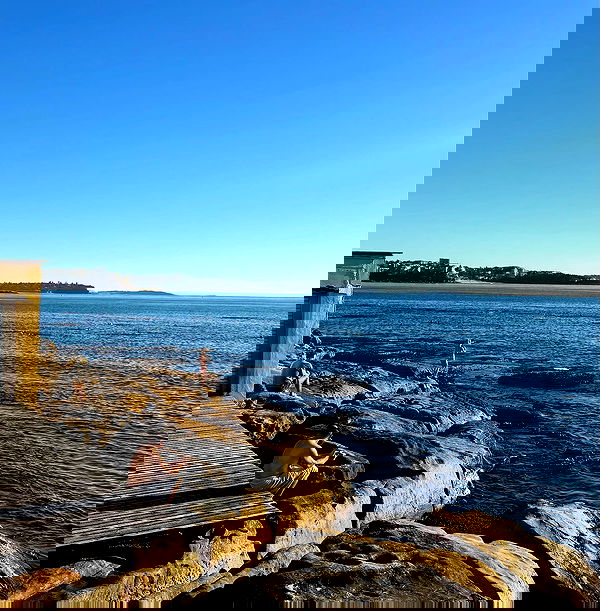 allygravemade image ~ Altpins