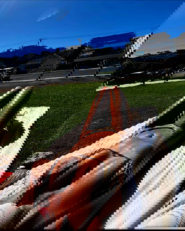 allygravemade image ~ Altpins