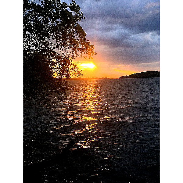 allylotti instagram image archive image