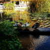 alma.almog Altpins Profile Picture