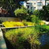 alma.almog Altpins Profile Picture