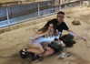 alma.almog Altpins Profile Picture