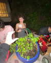 alma.almog Altpins Profile Picture