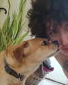 alma.almog Altpins Profile Picture
