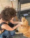 alma.almog Altpins Profile Picture