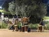 alma.almog Altpins Profile Picture