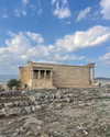 alma.almog Altpins Profile Picture
