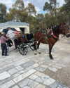 alma.almog Altpins Profile Picture