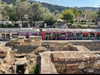 alma.almog Altpins Profile Picture