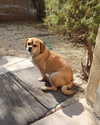alma.almog Altpins Profile Picture