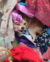 alma.almog Altpins Profile Picture
