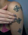 alma.almog Altpins Profile Picture