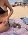 alma.almog Altpins Profile Picture