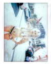 altarboyz Altpins Profile Picture