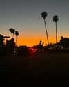 alyssa.lukens Altpins Profile Picture