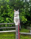 alyssa.lukens Altpins Profile Picture