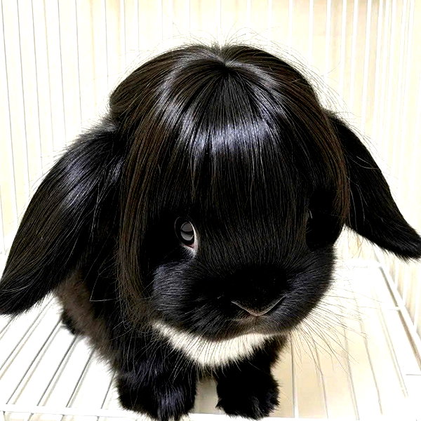 ameliimoo instagram image archive image