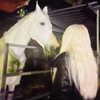 amellliiaa Altpins Profile Picture