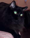 amellliiaa Altpins Profile Picture