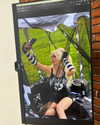 amellliiaa Altpins Profile Picture