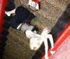 amellliiaa Altpins Profile Picture