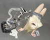 amellliiaa Altpins Profile Picture