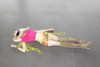 amellliiaa Altpins Profile Picture