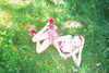 amellliiaa Altpins Profile Picture