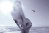 amellliiaa Altpins Profile Picture