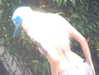 amellliiaa Altpins Profile Picture