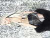 amellliiaa Altpins Profile Picture