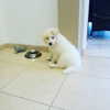 amit.yaron Altpins Profile Picture