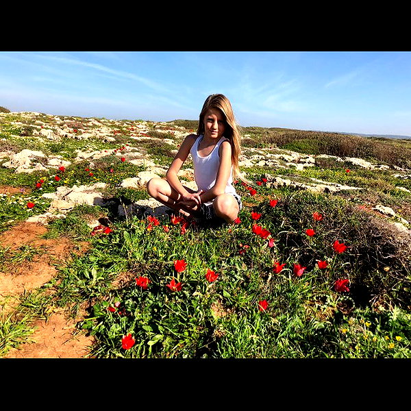 amit.yaron instagram image archive image