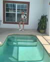 amit.yaron Altpins Profile Picture