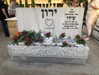amit.yaron Altpins Profile Picture