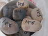 amit.yaron Altpins Profile Picture