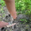 amit.yaron Altpins Profile Picture