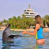 amit.yaron Altpins Profile Picture