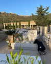 amit.yaron Altpins Profile Picture