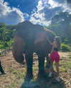 amit.yaron Altpins Profile Picture