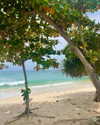 amit.yaron Altpins Profile Picture