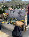 amit.yaron Altpins Profile Picture