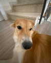 amyeett Altpins Profile Picture