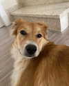 amyeett Altpins Profile Picture