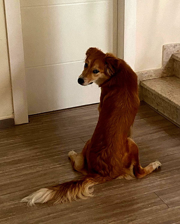 amyeett instagram image archive image