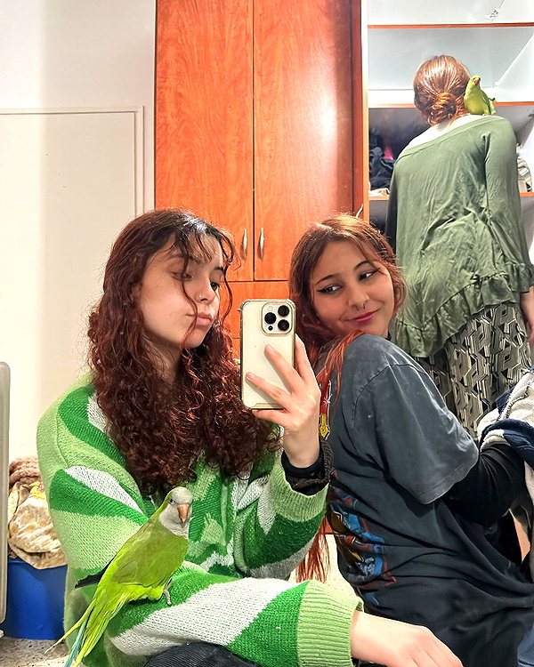 amyeett instagram image archive image