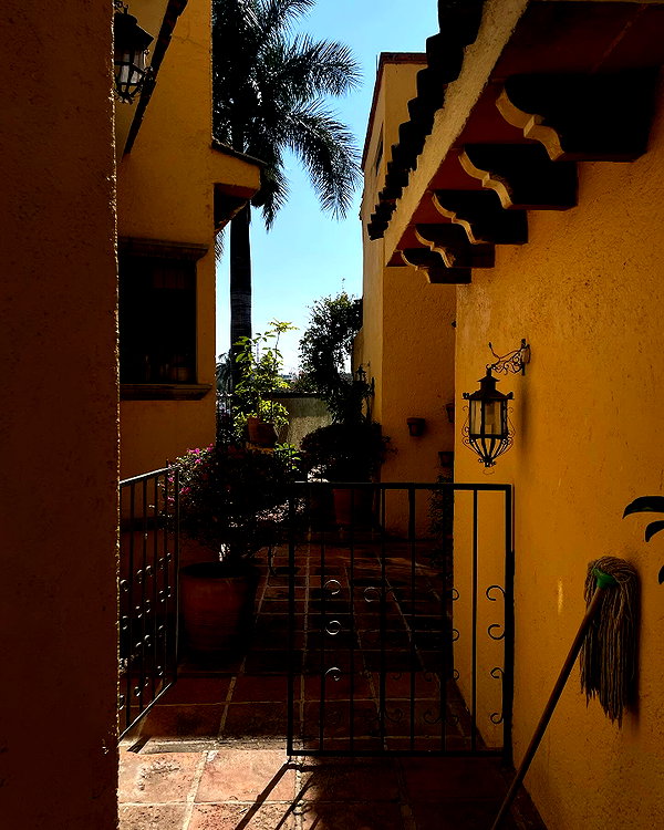 anaferflores instagram image archive image