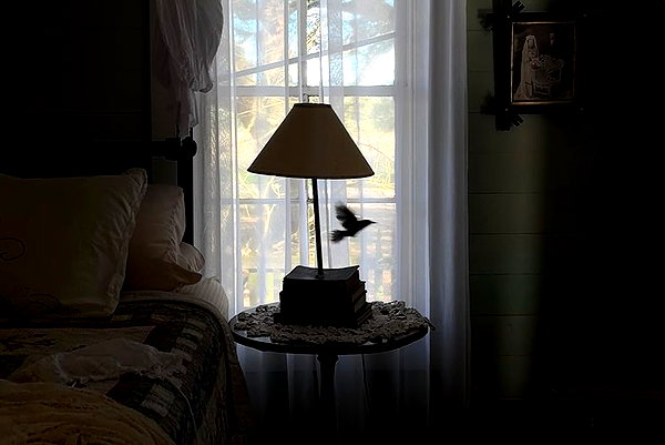 anaferflores instagram image archive image