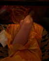 anaferflores Altpins Profile Picture