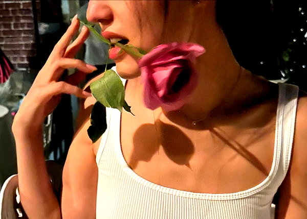 anaferflores instagram image archive image